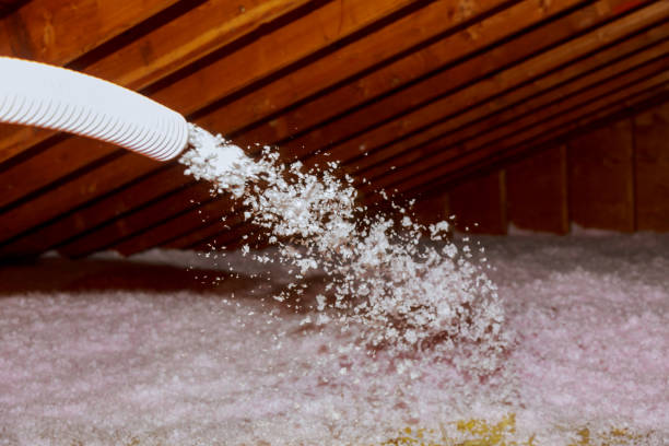 Best Geographic-Specific Insulation Services in Elk Mound, WI