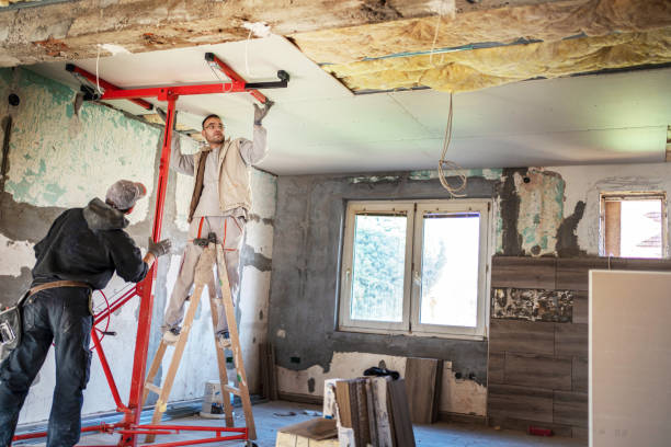 Best Eco-Friendly Insulation in Elk Mound, WI