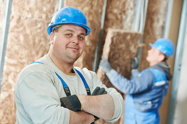 Best Cellulose Insulation in Elk Mound, WI