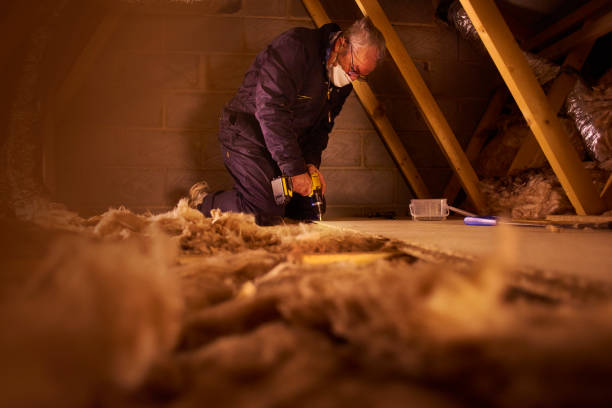 Best Insulation Maintenance and Repair in Elk Mound, WI